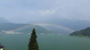 un arcobaleno sopra un lago con un albero in primo piano di Dream view - NL-00002286 a Brusino Arsizio