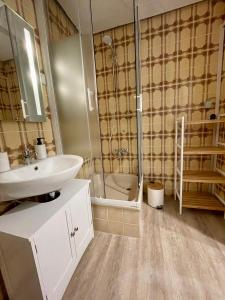 a bathroom with a sink and a shower at Ferienwohnung Clyde in Sankt Andreasberg