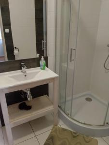 a bathroom with a sink and a shower at Apartament z widokiem na Śnieżkę in Karpacz