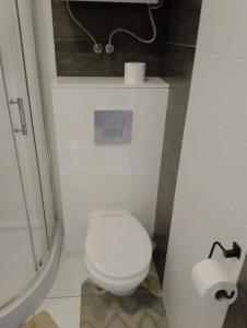 a bathroom with a white toilet and a shower at Apartament z widokiem na Śnieżkę in Karpacz