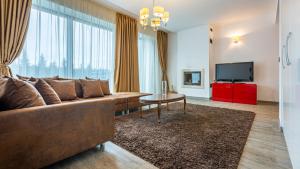 a living room with a brown couch and a tv at Cold Mountain Apartment in Silver Mountain Resort in Poiana Brasov