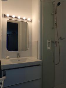 a bathroom with a sink and a mirror and a shower at Chambres d'hôtes Laurent Besset in Die