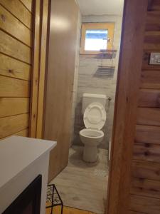 een badkamer met een toilet in een tiny house bij Vikendica Jankovic in Pale