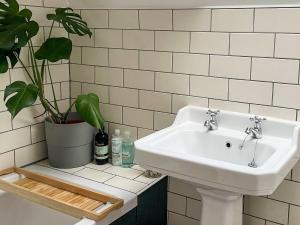 a bathroom with a sink and a potted plant at Cosy Apartment in Winchester