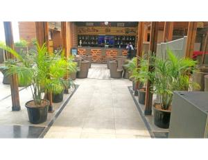 eine Reihe von Topfpflanzen in einem Restaurant in der Unterkunft Hotel JB Skyhilton Inn, Alambagh in Charbagh