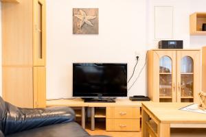 TV a/nebo společenská místnost v ubytování Kiefernglück App 1