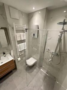 巴特諾因阿爾－阿爾韋勒的住宿－Ferienwohnung Freude am Kurpark，带淋浴、卫生间和盥洗盆的浴室