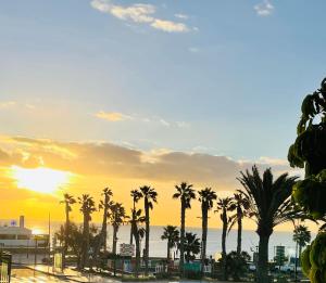 a group of palm trees in front of a sunset at Guesthouse Ca'Artù in Pozo Izquierdo