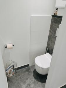 La salle de bains est pourvue de toilettes blanches. dans l'établissement Charmant T2 , en bord de Sèvre, à Vertou
