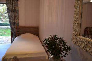 a room with a bed with a mirror and a plant at Platanus Gardenhouse in Anavissos