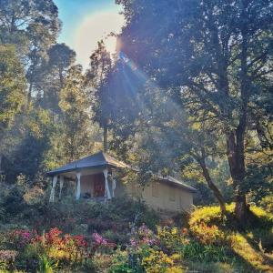 Nayalap - Rural Himalayan Glamping外面的花园