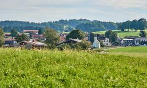een klein stadje met een grasveld en huizen bij Hof Hauserbichl in Fischbachau