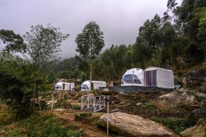 grupa namiotów na polu z drzewami w obiekcie Anandavana Jungle Resort By Lexstays - Kanthalloor-Marayur w mieście Kanthalloor