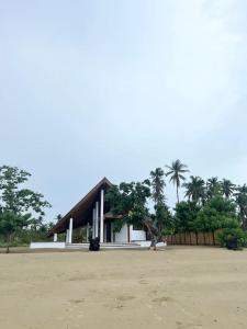 una casa en la playa con palmeras en el fondo en Private beachfront villa, en Roxas