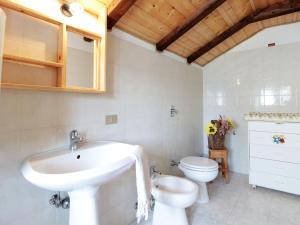 een badkamer met een wastafel en een toilet bij Wooden chalet in Pieve Tesino with garden in Pieve Tesino