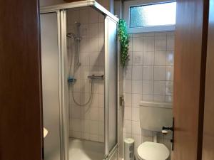 a bathroom with a shower and a toilet at Privatvermietung Ina in Buntenbock