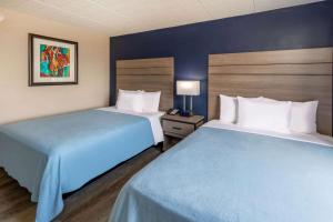 2 łóżka w pokoju hotelowym z niebieskimi ścianami w obiekcie Baymont by Wyndham Laredo w mieście Laredo