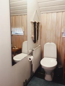 a bathroom with a toilet and a mirror at Bard Cottage in Akranes