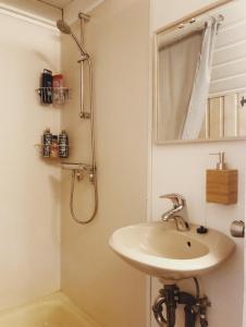 a bathroom with a sink and a mirror and a shower at Bard Cottage in Akranes