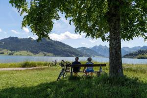 two people sitting on a bench under a tree at Tailormade Hotel SIHLPARK Schindellegi in Schindellegi