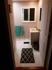 een kleine badkamer met een wastafel en een toilet bij Vineyard Farmhouse with Hot Tub & Lake Views in Hammondsport
