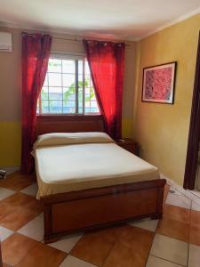 Schlafzimmer mit einem Bett und einem Fenster in der Unterkunft Canal Inn B&B Panama in Panama-Stadt