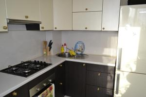 a kitchen with a stove and a sink and a refrigerator at Apartments on Primorskaya in Zelenogradsk