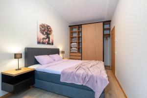 1 dormitorio con 1 cama y armario de madera en TartuKodu Riia 20A-5, en Tartu