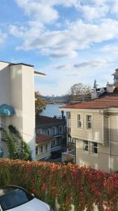 伊斯坦堡的住宿－Flat with Bosphorus view in Rumelihisarı，从大楼里欣赏水景