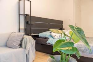 a bedroom with a bed and a potted plant at Ferienwohnung Im Haidelmoos in Konstanz +9 photos