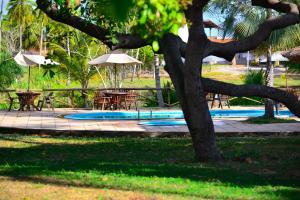 Gallery image of Pousada Mar de Estrelas in São Miguel do Gostoso +58 photos