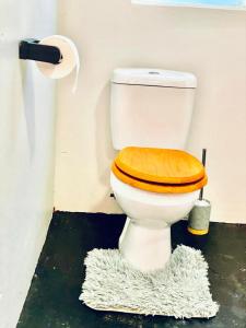 a toilet with a wooden seat in a bathroom at Ladybird in Durban
