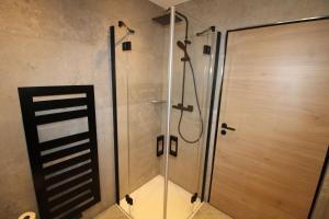 a shower with a glass door in a bathroom at DER Hirsch Hotel in Monschau