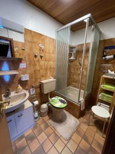 een badkamer met douche, toilet en wastafel bij Ferienwohnung Engelmann in Winterberg