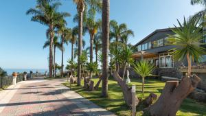 Příroda nedaleko vily