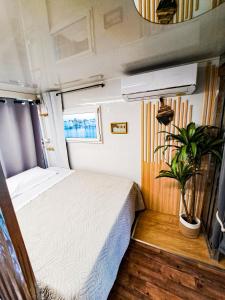 a bedroom with a bed and a potted plant at Floating home delta del po in Porto Viro