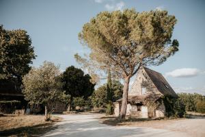 uma casa velha com uma árvore ao lado de uma estrada em Domaine St-Amand em Saint-Amand-de-Coly