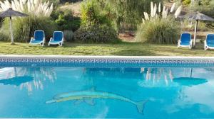 a swimming pool with two sharks in the water at 5 bedrooms villa with private pool enclosed garden and wifi at Ubriquea in Ubrique