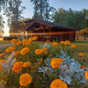 a house with a garden of orange and white flowers at Lauviņu rezidence in Kocēni