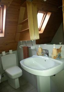 ein Badezimmer mit einem Waschbecken, einem WC und einem Spiegel in der Unterkunft Casa Arties in Naut Aran