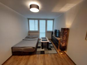 Televízia a/alebo spoločenská miestnosť v ubytovaní Apartament 59 , ranczoturystyka Bielawa Sudety