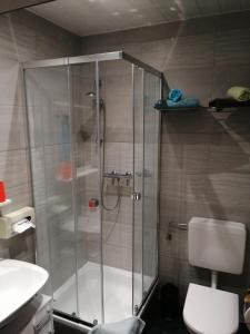 y baño con ducha, aseo y lavamanos. en Pension Arkadenhof, en Loipersdorf bei Fürstenfeld