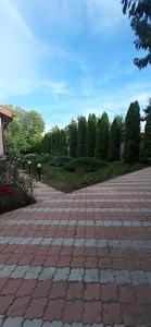 Fotografie z fotogalerie ubytování Casa Bițina v destinaci Biţina Pămînteni