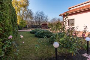 Fotografie z fotogalerie ubytování Casa Bițina v destinaci Biţina Pămînteni