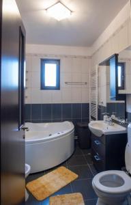 Ένα μπάνιο στο Casa Bițina +27 φωτογραφίες