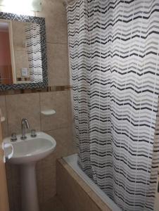 baño con lavabo y cortina de ducha en Cálido departamento en Ushuaia en Ushuaia