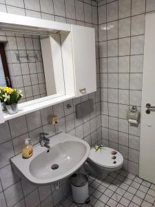 a bathroom with a sink and a toilet at Apartment "Zur Rotbuche" in Lindau