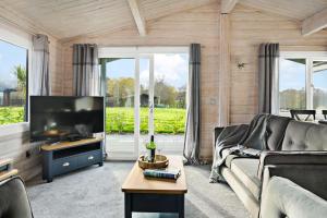 a living room with a couch and a tv at Chestnut, 6 Fingle Glen Lodges in Holcombe Burnell
