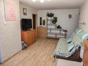 um quarto com 2 camas e uma televisão de ecrã plano em Sunny apartments em Liepāja