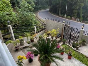 Zahrada ubytování Williams Homestay